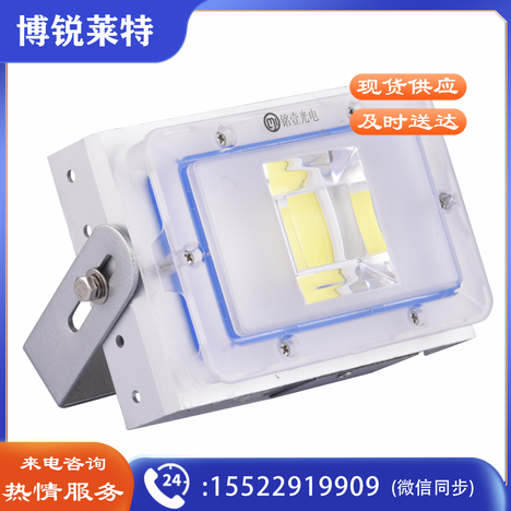 铭壹（MYMY11）LED投光灯户外防水照明灯景观灯MTG03款50W 10个/箱