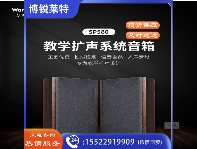 教学扩声系统音箱 SP580