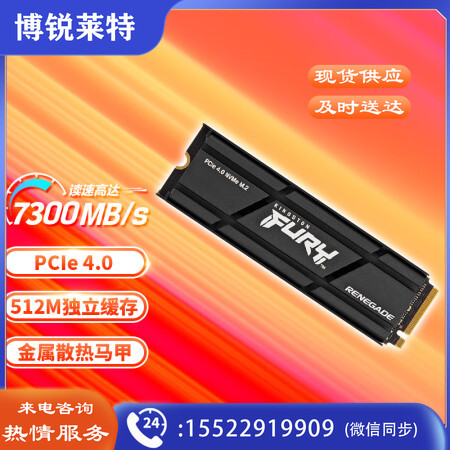 金士顿(Kingston) FURY 500GB SSD固态硬盘 M.2接口(NVMe PCIe 4.0×4) Renegade系列 散热器 读速7300MB/s