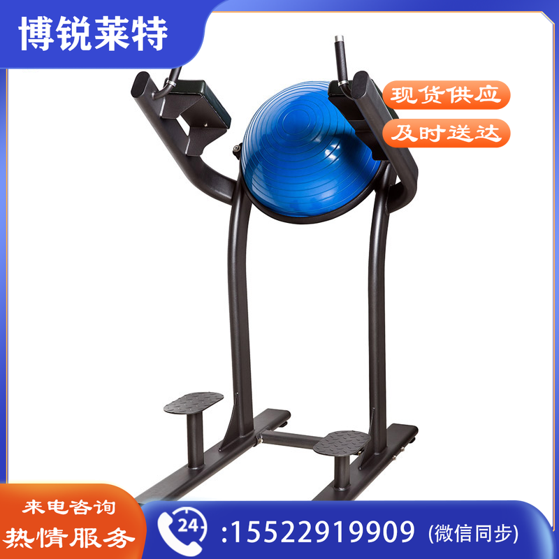 舒华 SH-6886 提腿练习器