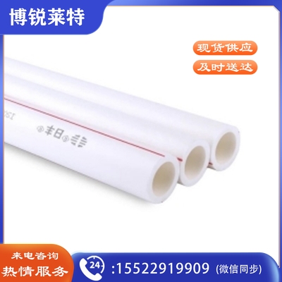 日丰（RIFENG）管广东佛山日丰ppr水管 冷热水管 双层管 家装双色管管材20 4米/根