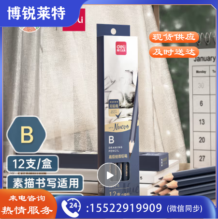 得力(deli)高级美术绘图B铅笔 学生素描速写铅笔 12支/盒 S999-B