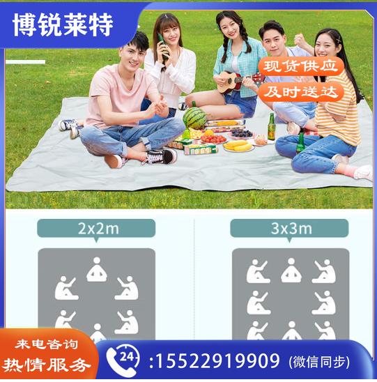 婉和 野餐垫防潮垫加厚户外地垫便携折叠露营垫郊游帐篷地垫 大号2M*2M