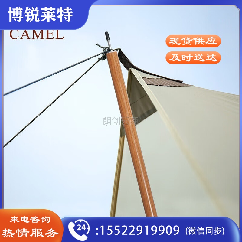 骆驼（CAMEL）户外铝合金天幕杆帐篷门厅支撑杆铝杆超长伸缩柱支架加粗两根 1J32263756 银色