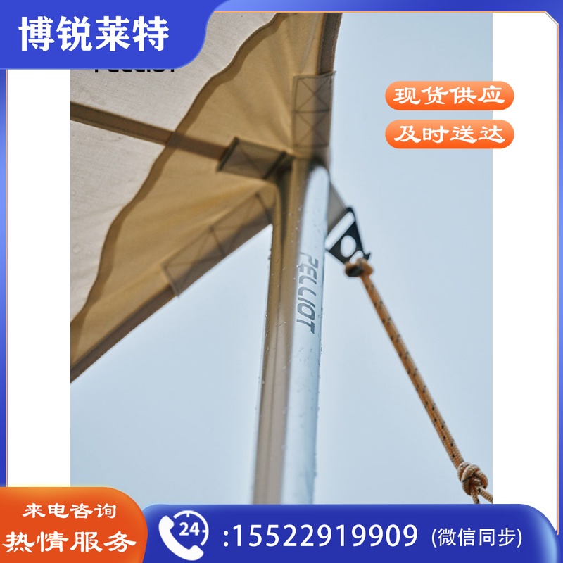 伯希和天幕杆户外露营铝合金天幕支撑杆帐篷门厅加长支架轻量化 白金色-2.8m