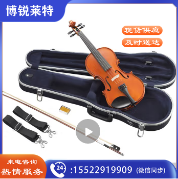 雅马哈（YAMAHA）纯手工小提琴儿童成人初学者专业级实木小提琴V3KA-4/4小提琴