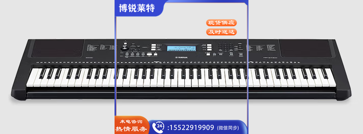 雅马哈（YAMAHA）PSR-EW310 电子琴专业演奏教学76键 +琴架+琴包配件大礼包