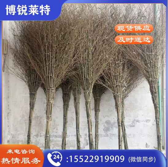 加厚一体式环卫大竹扫把 加厚笤帚(20把起售)