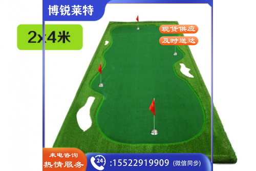高尔夫推杆练习果岭2*4（高级版）