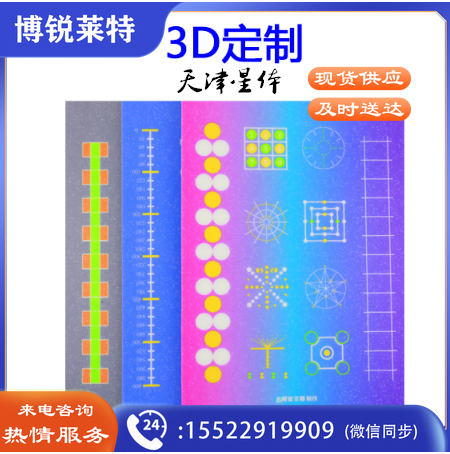 健身房专用地胶室内私教体适能感统训练定制地垫pvc塑胶运动地板（定制）