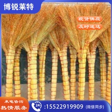 高粱扫把