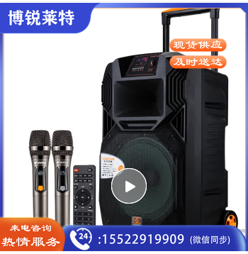 松川国际（SOONTRAN） SS1 户外广场舞音响移动拉杆蓝牙音箱便携式低音炮大功率会议室电脑音箱 12吋升级版（U段无线话筒一对 ）
