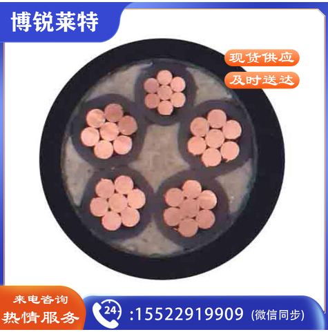 津达线缆 国标YJV5芯电力电缆 硬线 电线 电缆 1M  津达线缆 YJV 5*120