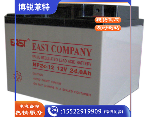 易事特铅酸蓄电池12V24AH(NP24-12)