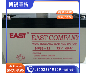 易事特铅酸蓄电池12V65AH(NP65-12)