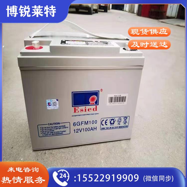Esied蓄电池 6-GFM-100 12V100Ah