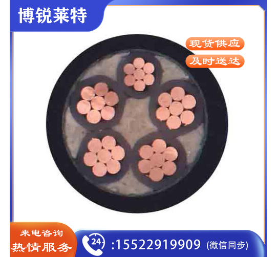 津达线缆 国标YJV5芯电力电缆 硬线 电线 电缆 1M 津达线缆 YJV 5*10
