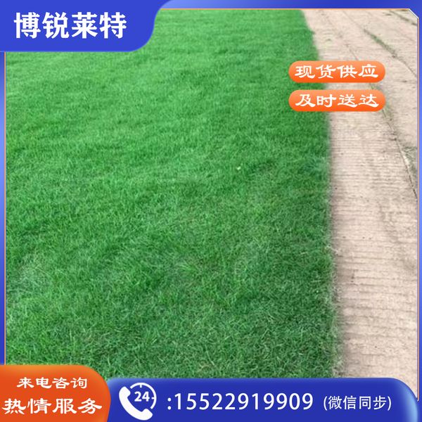 足球场人造草坪