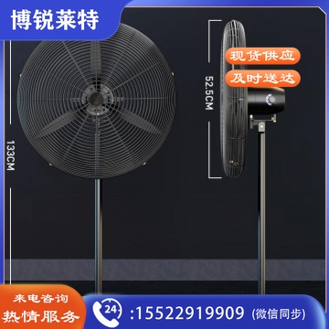 钻石牌(DIAMOND)工业风扇大风力电风扇牛角扇大功率风扇 FS-50 工业落地扇 DQ.1857