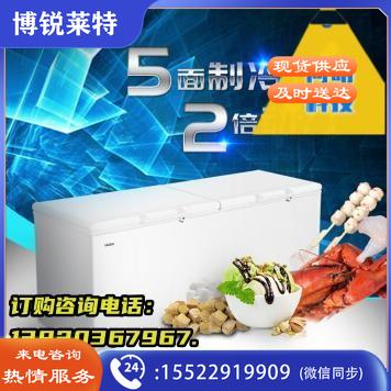 海尔（Haier）冰柜商用大容量829升 BC/BD-829HEZ冷藏箱柜