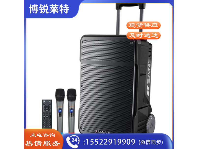 山水(SANSUI)A08 8英寸广场舞音响大功率便携式移动户外蓝牙拉杆音箱