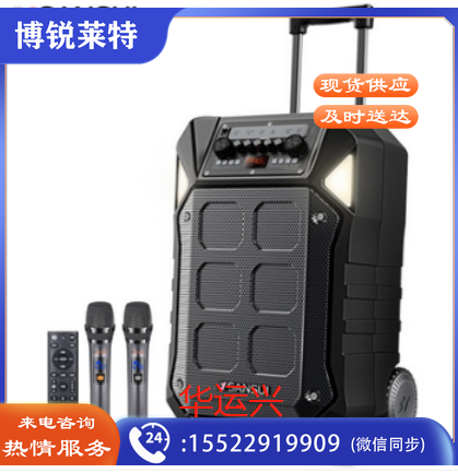 山水 SANSUI D15 15英寸户外广场舞拉杆音响蓝牙室外演出大功率重低音演出级移动k歌音箱带无线麦克风