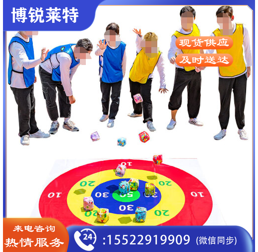 趣味运动 沙包投掷盘