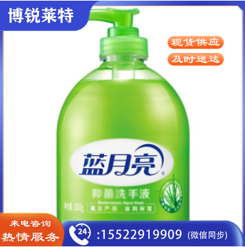 蓝月亮洗手液 芦荟洗手液抑菌洗手液500mL 洗手液