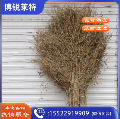 巨联（JULIAN）Z165 竹扫把 环卫扫把笤帚扫帚把扫马路竹扫把 竹扫帚大竹扫把 大竹扫把竹子