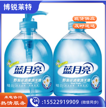 蓝月亮 瓶装洗手液LYL10 500G+500补充
