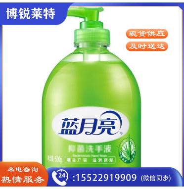 蓝月亮 500ml芦荟抑菌洗手液