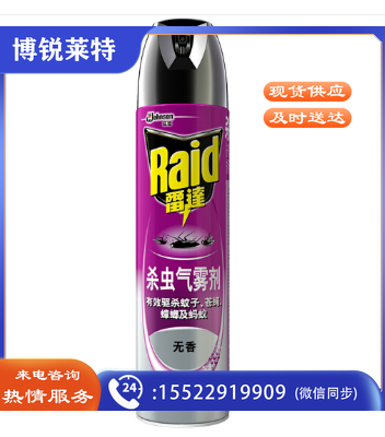 雷达(RAID) 600ml无香喷雾杀虫剂 24瓶/箱