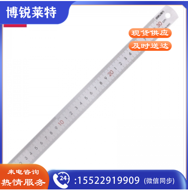 得力8463钢直尺(银色)(只)