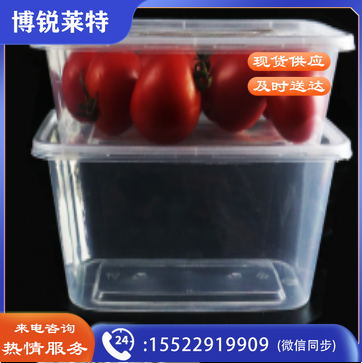 一次性餐盒 透明餐盒 规格：750ML 300套/箱