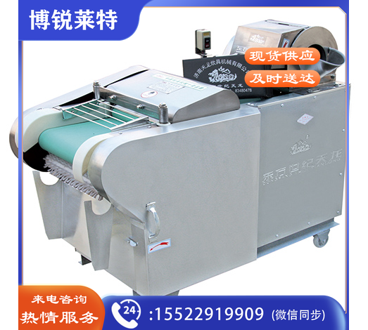 东方世纪天龙    全不锈钢1000型多功能切菜机