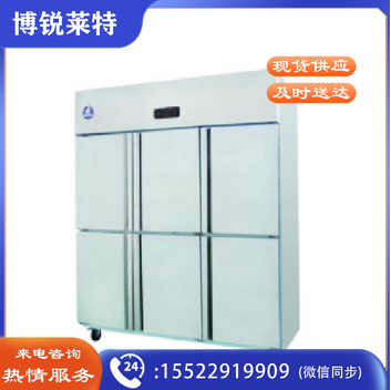 莱福特 LFT-10L6D 式冷藏冷冻保鲜柜 不锈钢节能双温冰柜