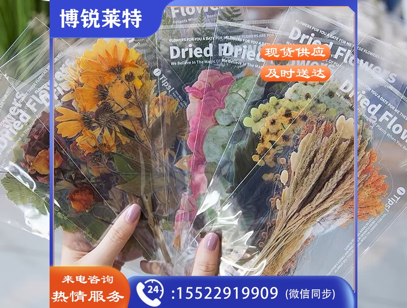 干花贴纸 自然博物馆系列手账贴纸包复古植物花卉贴画