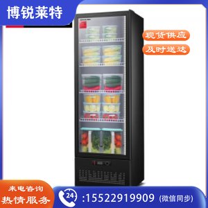 德玛仕 DEMASHI  LG-300ZH 保鲜柜 食品留样柜 单位学校公司幼儿园食堂保鲜冷藏展示陈列柜230升 工程款