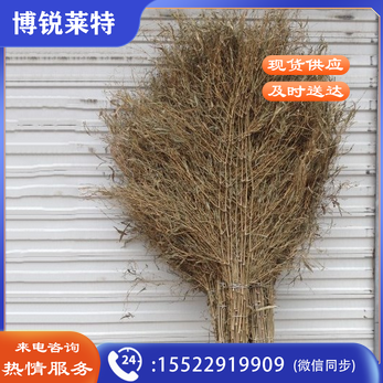 竹扫把 环卫扫把笤帚扫帚把扫马路竹扫把 竹扫帚大竹扫把 大竹扫把竹子