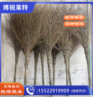 加厚一体式环卫大竹扫把 加厚笤帚