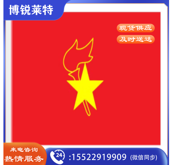 中国少先队旗 少年先锋队队旗 大队旗