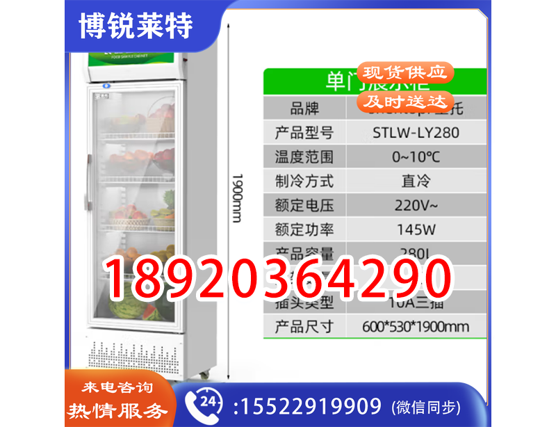 )食品留样柜商用   圣托(Shentop蔬菜水果冷藏柜冰箱 单门展示柜学校幼儿园食堂保鲜柜 STLW-LY280