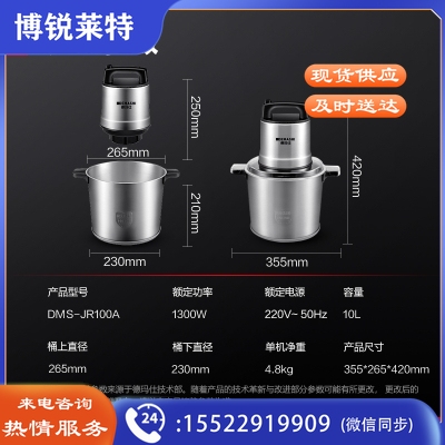 德玛仕(DEMASHI)JR100A 绞肉机 家用商用电动不锈钢大功率绞馅机 碎肉打肉料理机(10升容量)