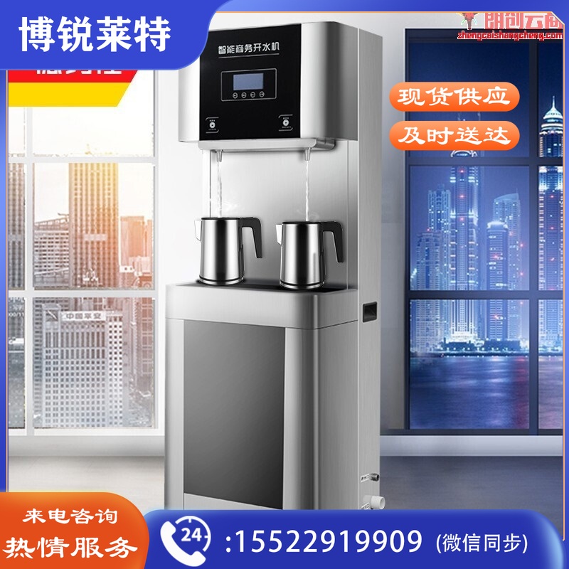 德玛仕（DEMASHI）直饮机商用 学校用开水器商用烧水机直饮水机 一开一温 YT-2K-2HY【RO五级过滤2年滤芯】