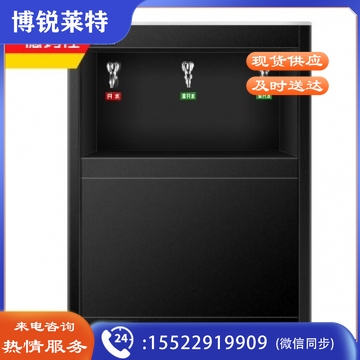 德玛仕(DEMASHI)直饮水机 商用学校烧水机 学校专用开水器 大型不锈钢 SRZ-30/SRZ-3L(一开两温全黑)