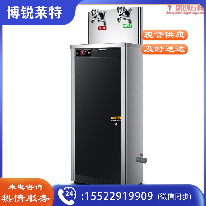 德玛仕（DEMASHI）商用直饮机开水器全自动电热烧水机医院学校用 SRZ-20台式LT一开一温(包辅材包安装)