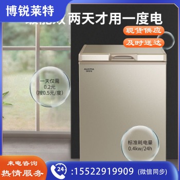 澳柯玛(AUCMA) 103升零下40度超低温冰柜 深海海鲜 电脑控温 家用商用小冷柜 BC/BD-103FNE